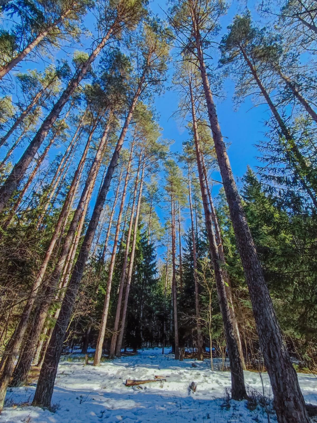 1в.jpg